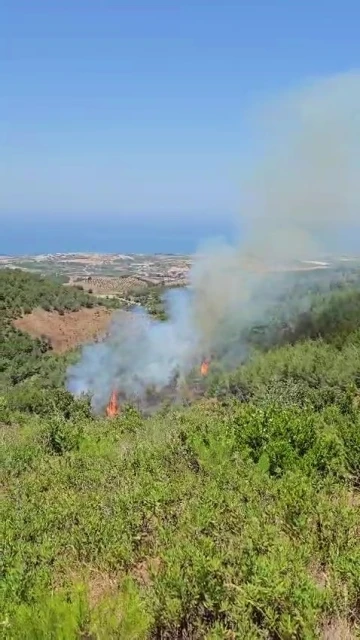 Helikopterle müdahale edilen orman yangını kısa sürede söndürüldü
