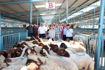 Hibe desteği 200 üreticinin yüzünü güldürdü
