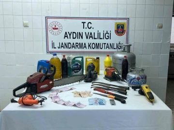 Hırsızı yakalamak için bin 200 saatlik kamera görüntüsü izlediler
