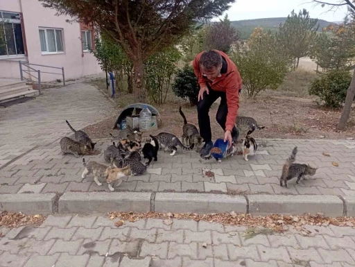 Hisarcık’lı esnaf 30 sokak kedisine bakıyor
