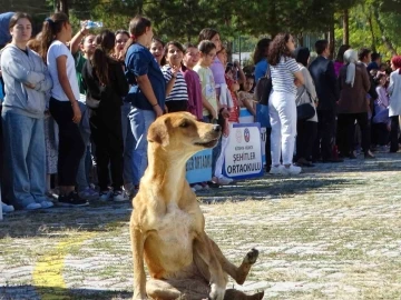 Hisarcık’ta İlköğretim Haftası kutlamalarında sevimli köpek ilgi odağı oldu
