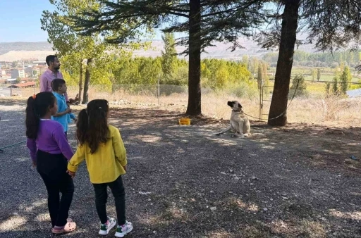 Hisarcık’ta özel öğrencilere hayvanlar tanıtıldı
