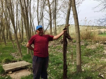 Hisarcık’ta su borusunun içinden 7 metre ağaç kökü çıktı
