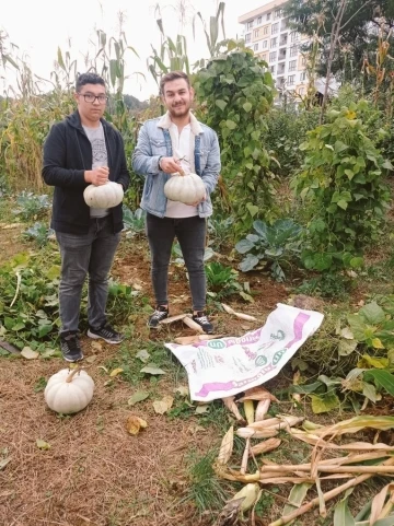 Hobi bahçesinin mahsullerini öğrenciler topladı
