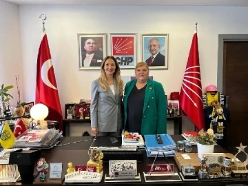 Hülya Erdem, Ceyhan için Ankara'da