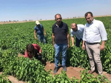 İbrahim Kara ‘’Sahada Çiftçi ziyaretlerimiz, arazi ve ürün kontrollerimiz devam ediyor’’