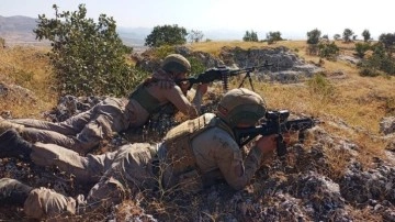 İçişleri Bakanı Soylu duyurdu! Şırnak'ın Silopi ilçesinde 2 terörist yakalandı