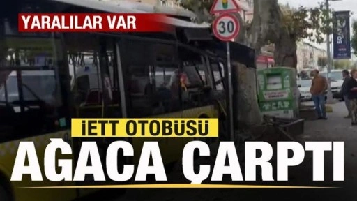 İETT otobüsü ağaca çarptı! Yaralılar var