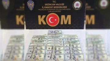 Iğdır’da dolar gasp ettiği öne sürülen şüpheli Erzincan’da yakalandı
