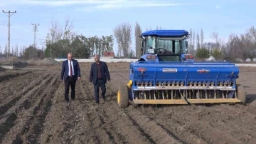 Iğdır’da yerli ve milli buğday ekildi
