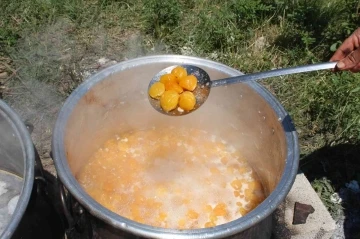 Iğdır’ın muhteşem kokulu kayısısından reçeller yapılmaya başlandı
