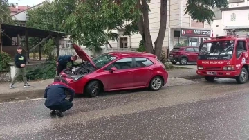 İnatçı kedi ekipleri çok uğraştırdı
