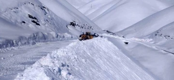 İran sırında bulunan Onbaşılar köyünün yolu kardan temizlendi
