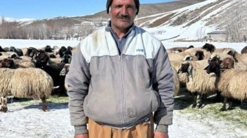 İranlı Çoban Yüksekova'da Koyunlara Bakıyor