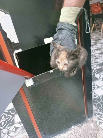 İş yerinde kolonun içerisinde mahsur kalan kediler kurtarıldı
