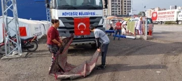 İskenderun'da sağanak etkili oldu; çadırlardaki depremzedeler zor anlar yaşadı