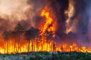 İspanya’da 30 farklı noktada yangınla mücadele sürüyor
