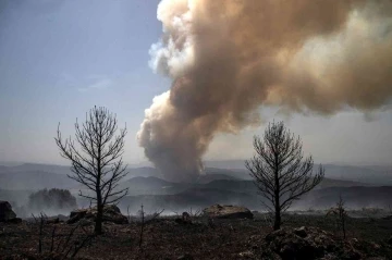 İspanya’daki orman yangınında 2 bin hektarlık alan küle döndü
