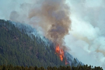İspanya’daki orman yangınları söndürülemiyor
