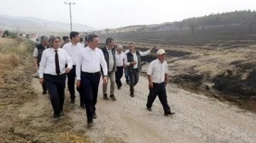 Isparta'da anız yangınında alevler ormana sıçradı