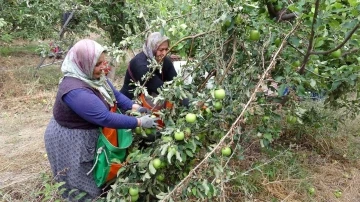 İşsizliği bitiren bu köy, il ve ilçelerden göç alıyor
