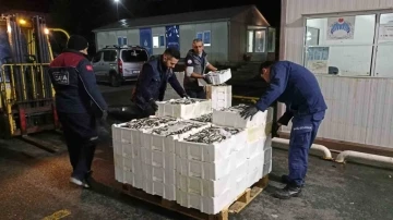 İstanbul’da su ürünleri denetlendi: 7.5  ton su ürününe el konuldu
