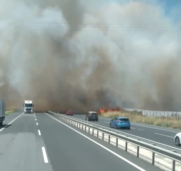 İstanbul - Tekirdağ yolunda yangın: Dumanla kaplanan yol sürücüler zor anlar yaşattı
