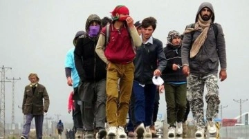 İtalya, 300 Afgan sığınmacı aldı