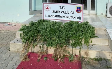 İzmir’de 11 ilçede uyuşturucu operasyonu: 25 şüpheliye işlem
