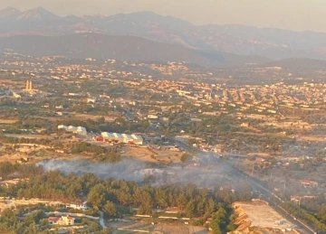 İzmir’de ağaçlık alanda yangın
