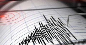 İzmir’de deprem fırtınasında korkutan bilanço: Son 4 günde 142 deprem
