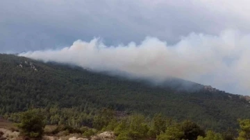 İzmir’de iki ilçede orman yangını
