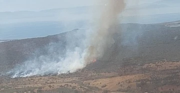 İzmir’de makilik alanda yangın
