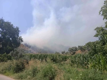 İzmir’de ormanlık alanda yangın
