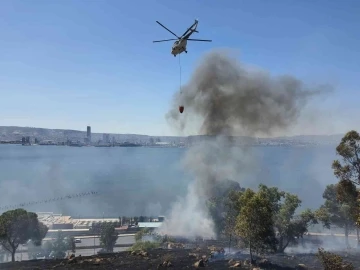 İzmir’de otluk alanda yangın
