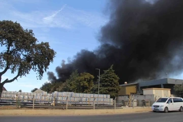 İzmir’de yatak fabrikasındaki yangını söndürme çalışmaları sürüyor
