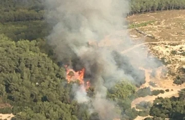 İzmir’deki orman yangını kontrol altına alındı
