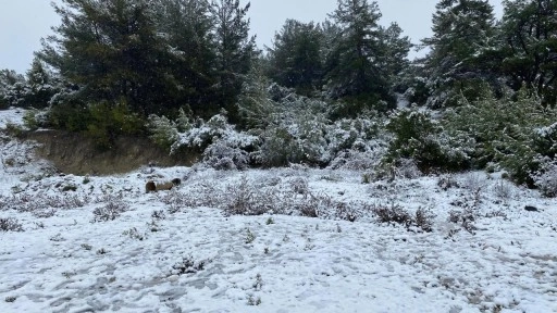 İzmir'in yüksek kesimleri beyaza büründü