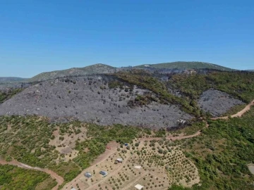 İzmir Urla’daki yangının boyutu havadan görüntülendi
