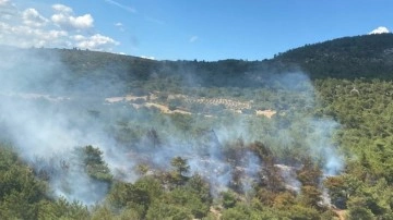 İzmir'de feci orman yangını! Ekipler havadan ve karadan müdahale ediyor