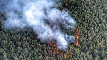 İzmir'de orman yangını çıktı! Alevlere havadan ve karadan müdahale ediliyor