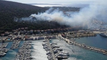 İzmir'de orman yangını! Korkutan yangın kontrol altına alındı