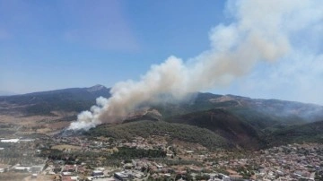 İzmir'de yerleşim yerine yakın bölgede yangın