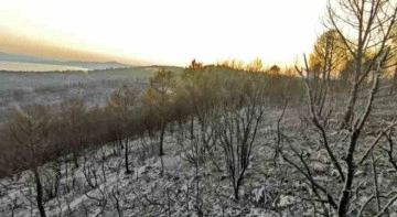 İzmir’deki orman yangınlarında soğutma çalışmaları sürüyor