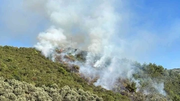 İznik’te orman yangını...Helikopter defalarca gölden su aldı
