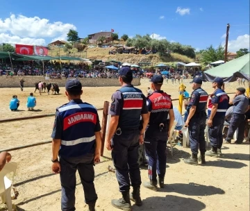 Jandarma boğa güreşinde tedbiri elden bırakmadı
