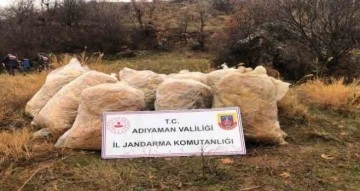 Jandarma çalınan tütünleri dere yatağında buldu