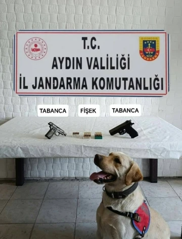 Jandarma ekipleri ruhsatsız tabanca ele geçirdi
