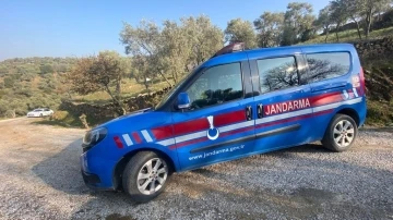 Jandarma incir hırsızlarına geçit vermiyor
