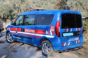 Jandarma incir hırsızlarına göz açtırmıyor
